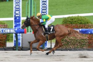 【トリプル馬単ゼミ・川崎 8月19日（水）】本線は40点！スパーキングサマーカップ含む買い目を全公開