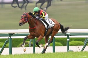 【新潟2歳ステークス2026・能力分析】実績・適性・騎手を10段階比較！ 総合トップ評価は？