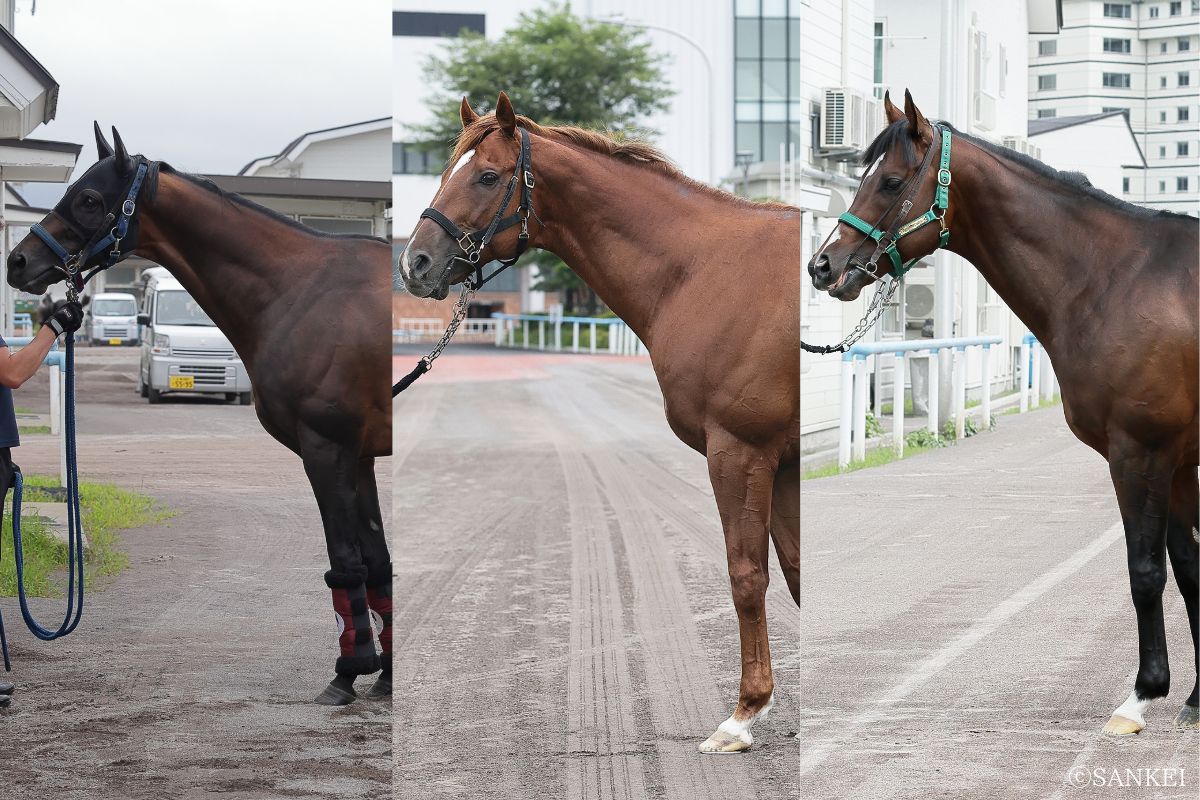 2026年キーンランドカップ馬体