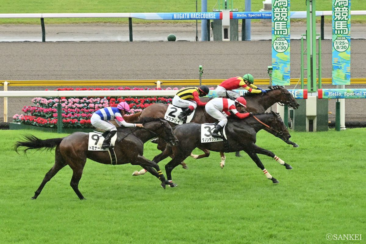 2026年7月26日(新潟)2歳新馬・1着トウシンマジック(緑帽)、2着ダノンダックス(赤帽)