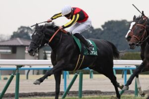 【WIN5研究所・日曜の部】新潟記念はS級の難易度…その理由は？ 各レースの買い目と難易度を一挙公開