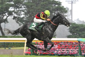 【新潟記念2026・敗戦の本質】1番人気ダノンシーマは、なぜ敗れたのか…注目3頭を考察