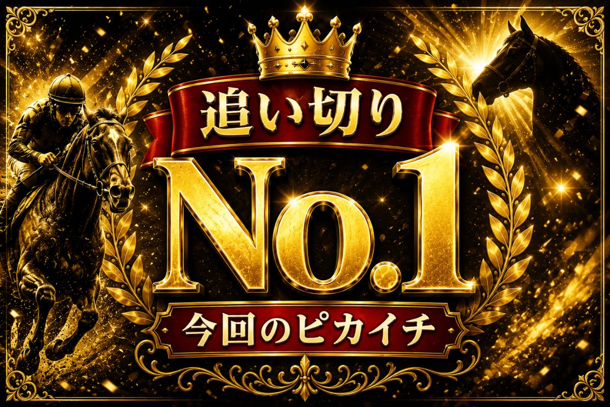 追い切りNo.1