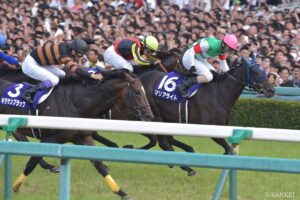 【POG】 注目新馬の追い切り・血統・厩舎を徹底分析！ マリアライトの第6仔がいよいよデビュー