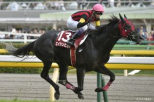 【東京・芝1800mのコース解説】特徴と傾向は？ 脚質・馬番・種牡馬データを分析