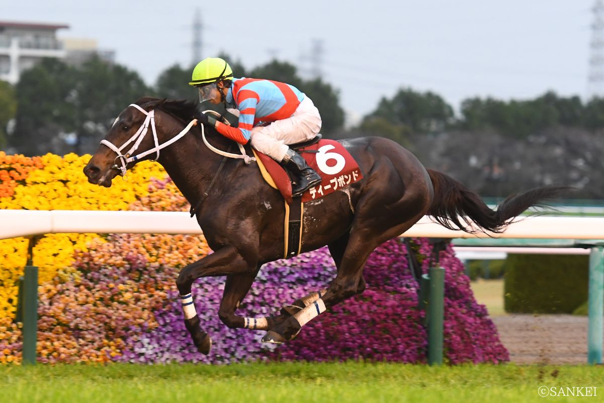 2021年阪神大賞典を制したディープボンド