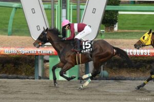 【WIN5研究所・土曜の部】初日から全力投球！ 重賞がない日こそチャンス？