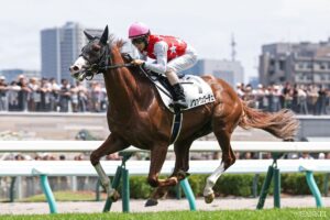 【札幌2歳ステークス2026・全頭追い切り診断】S評価は1頭のみ！“能力の高さを示す”調教を見せた注目馬は？