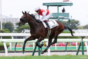 【札幌2歳ステークス2026・能力分析】実績・適性・騎手を10段階比較！ 総合でトップ評価は？