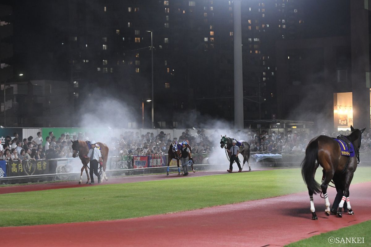 川崎競馬場のパドック