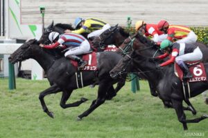 【神戸新聞杯2026・敗戦の本質】2番人気グリーンエナジーは、なぜ敗れたのか…ロブチェンのレース内容も考察