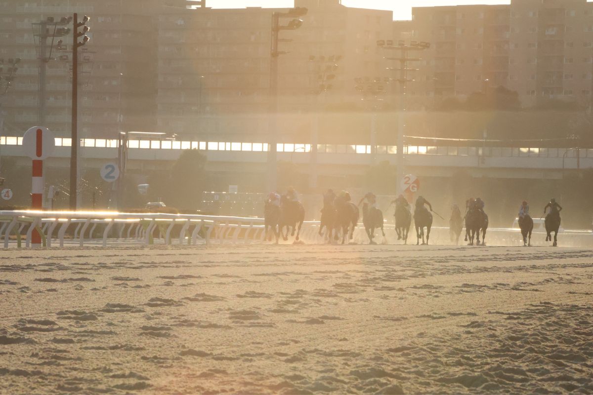 大井競馬場
