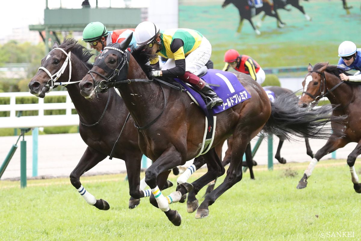 2021年天皇賞(春)を制したワールドプレミア