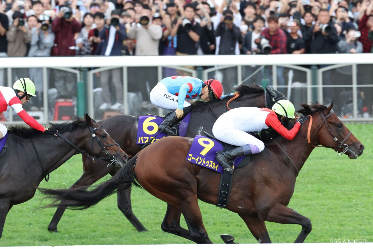 2026年菊花賞・1着ゴーイントゥスカイ、2着バステール(赤帽)、3着ダノンヒストリー(写真左・黄帽)