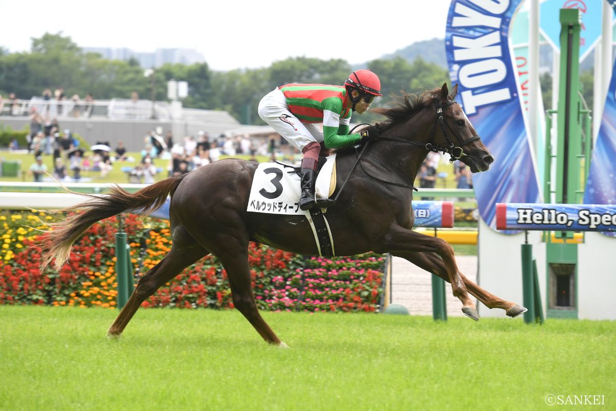 2026年6月14日 東京・2歳新馬 1着ベルウッドディープ
