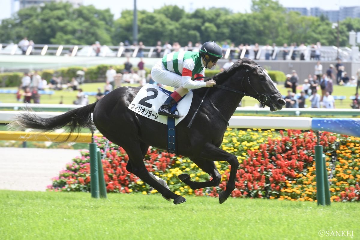 2026年6月6日 東京・2歳新馬 1着フィリオソラーレ