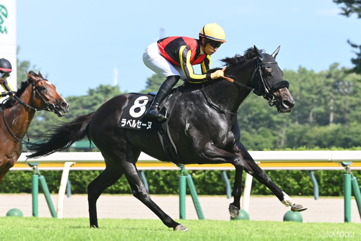 2026年三面川特別を制したラベルセーヌ