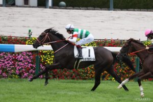 【アルテミスステークス2026・追い切り診断】最高評価「S」はわずか1頭のみ！ 超良血馬リスグロワールの仕上がりは？