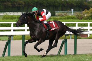 【WIN5研究所・日曜の部】秋華賞は堂々の1点勝負…その馬は？ 全5レースの買い目＆難易度を徹底検討