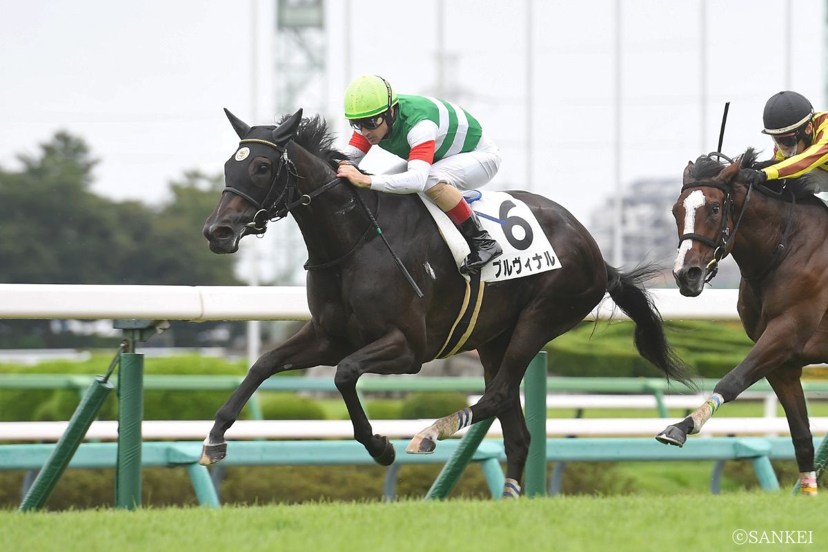 2026年9月19日・2歳新馬を制したプルヴィナル