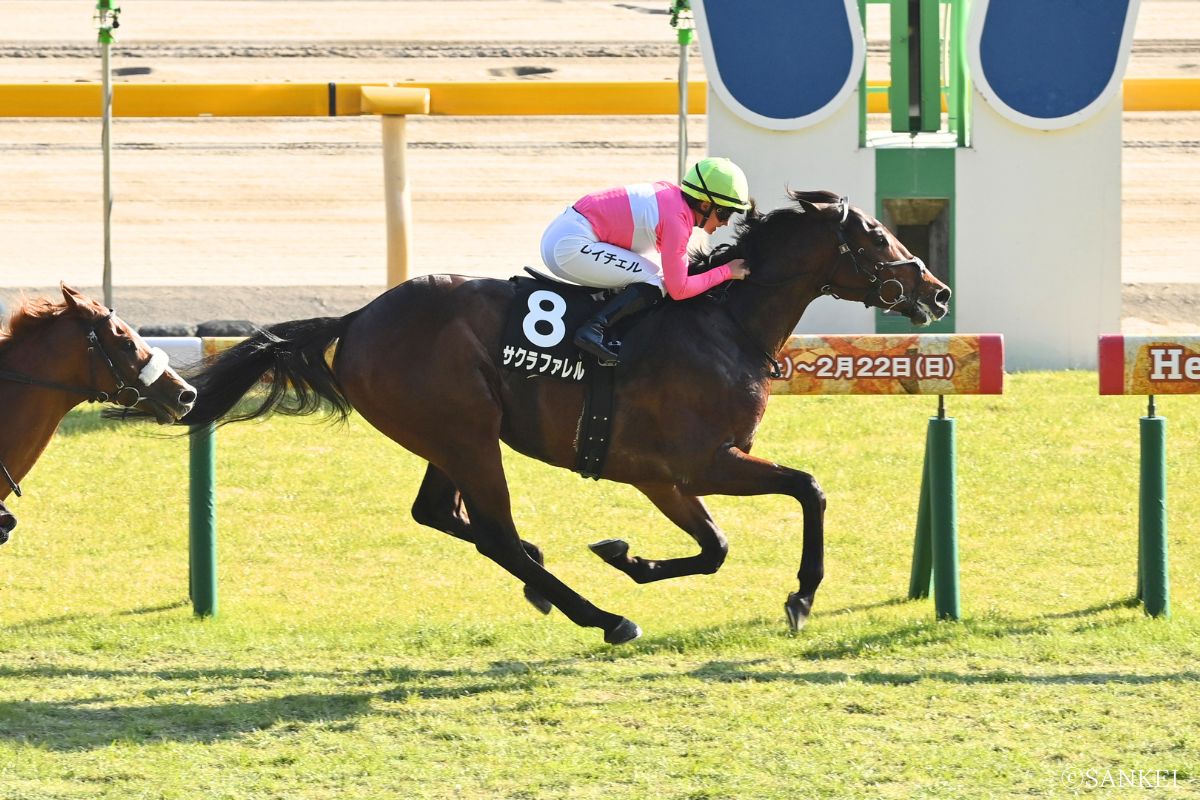 2026年JCベストレース記念を制したサクラファレル