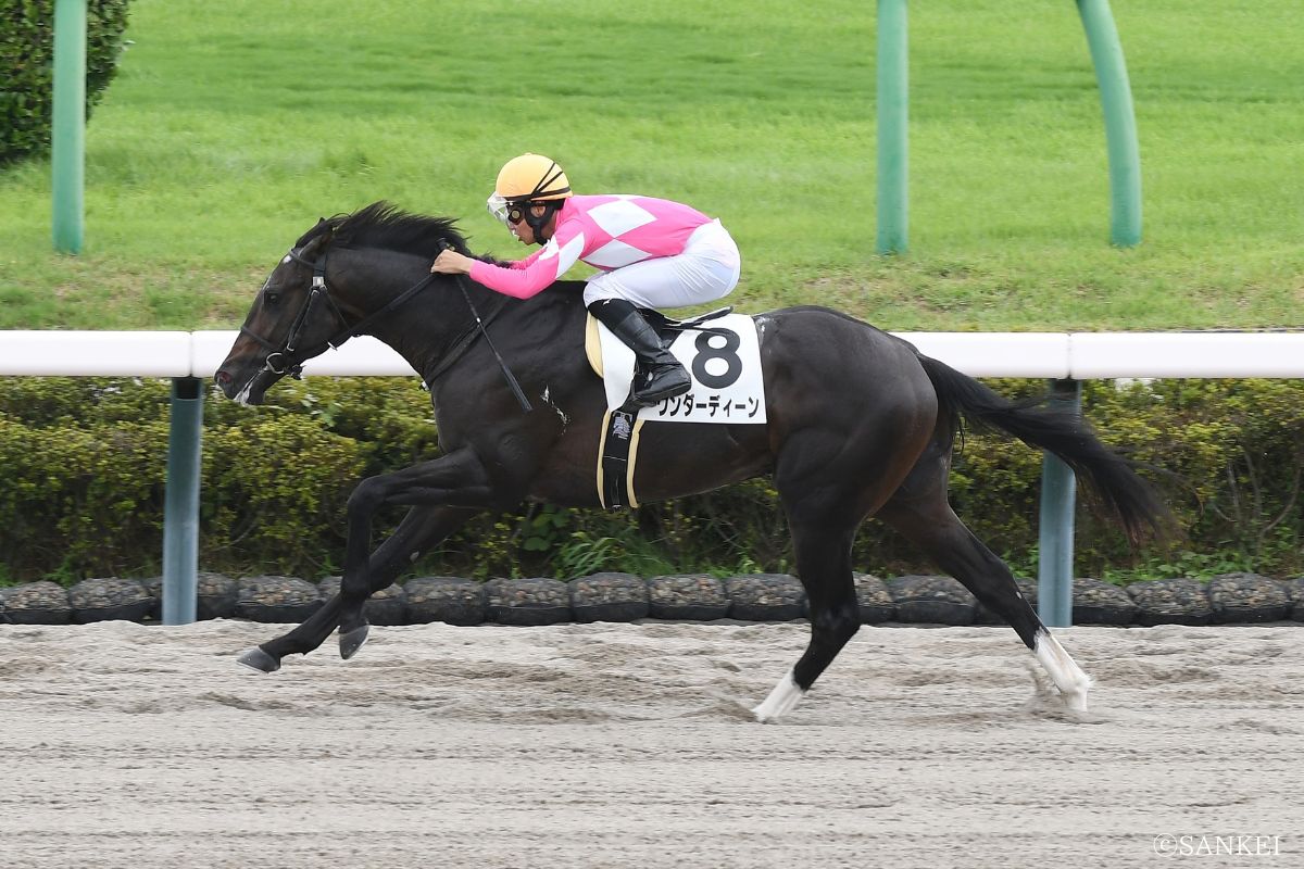 2025年9月14日 中山・2歳未勝利・1着ワンダーディーン