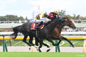【天皇賞（秋）2026】過去10年の前走別データを分析！最も好走率が高いローテーションは？