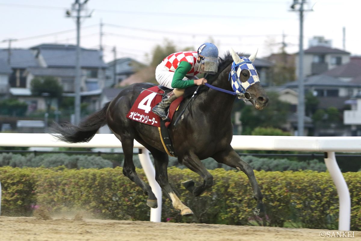 26武蔵国OP（浦和）を制したオピニオンリーダー